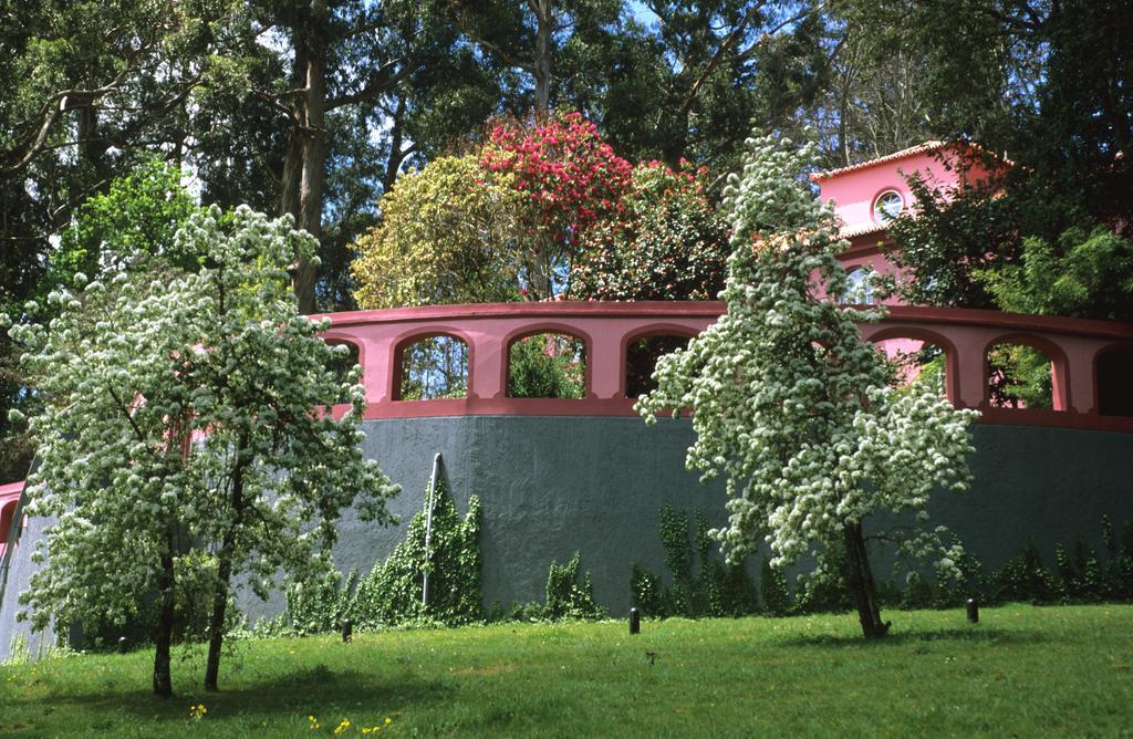 Bio Hotel - Hotel Quinta Da Serra Câmara de Lobos Exterior foto